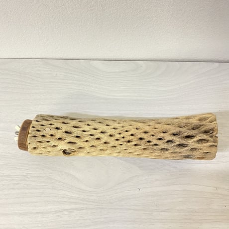 カクタスパーチ① 中サイズ直径5.5cm/22.5cm