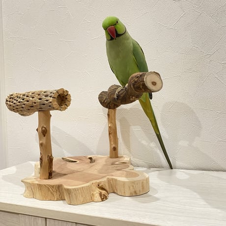 【中型・大型用】ツタとカクタスの殿様スタンドパーチ②【インコのおもちゃ・自然木のとまり木】