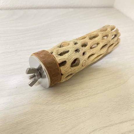 カクタスパーチ 極小サイズ⑨直径（約2-3cm）長さ/10cm