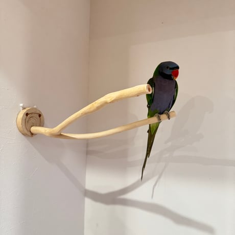 桧のピノキオの鼻 ①【インコ・小鳥のおもちゃ　自然木の止まり木】
