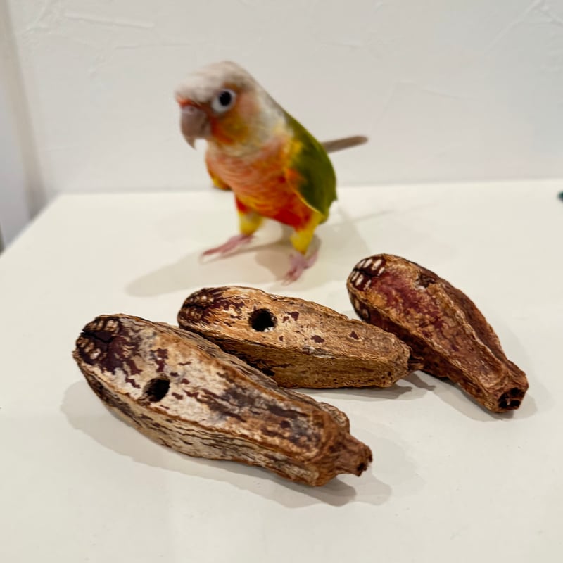 ⭐　熊本県産のい草　⭐　インコ　カジカジ、ガジガジおもちゃ　バードトイ ⭐ 熊本県産のい草 ⭐ インコ カジカジ、ガジガジおもちゃ