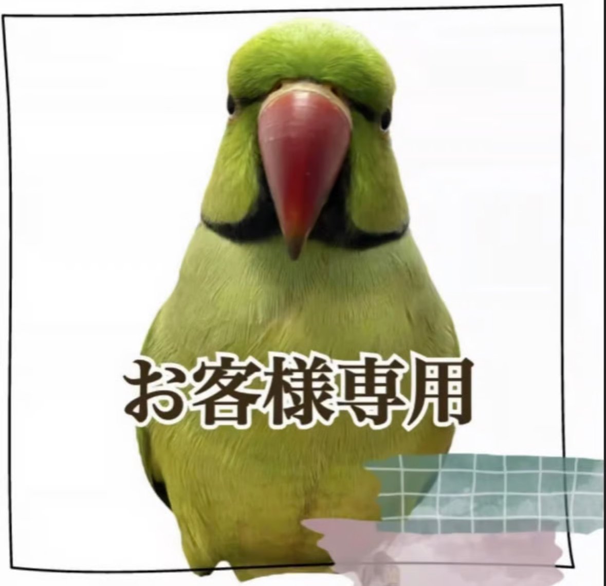 ◯山さんちのことりーず専用】カクタスパーチ カクタスT字パーチ【自然