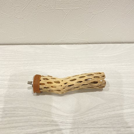 【haru様専用】カクタスパーチ 極小12cm