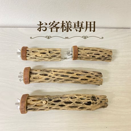 【tomollino様専用】カクタスパーチ 極小サイズ長さ/8cm/16cm