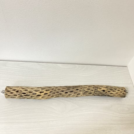 ケージサイズカクタスパーチ③ 小サイズ直径4cm HOEI465サイズ