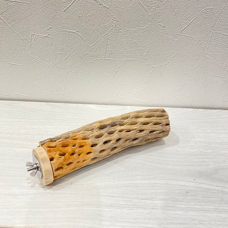 カクタスパーチ㉑中4.5~5.5cm長さ20㎝