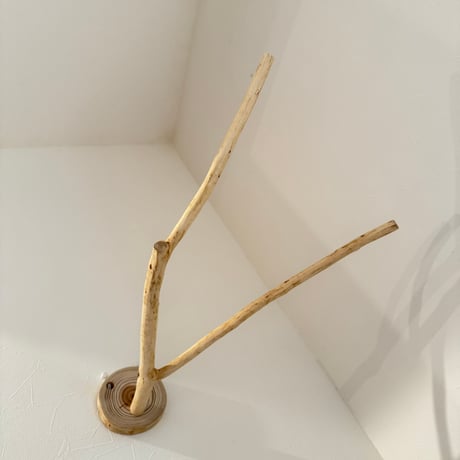 桧のピノキオの鼻 ⑦