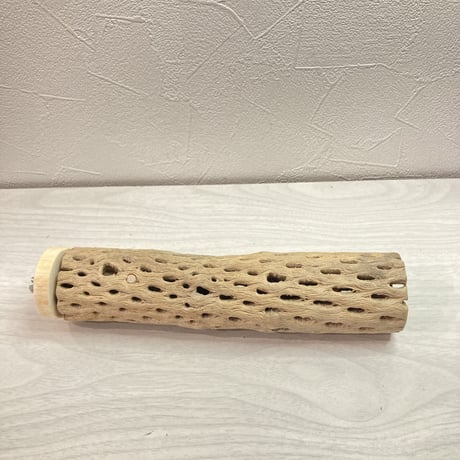 カクタスパーチ【L 】中 直径5cm前後 長さ20cm