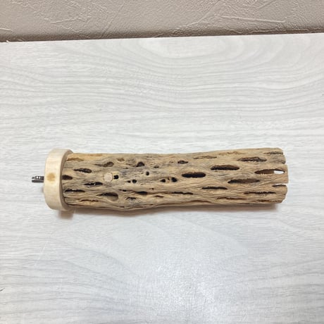 カクタスパーチ（15）小3-4㎝長さ15㎝
