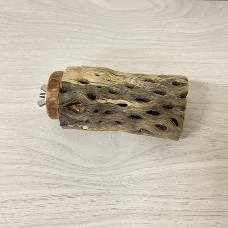 カクタスパーチ 中サイズ① 直径（約5.5cm）長さ/10cm