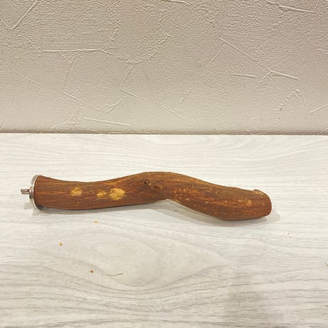 自然木（ツタ）パーチ② 直径約2.4cm/長さ19cm
