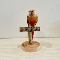 【体重測定用】カクタスのスタンドパーチ① 長さ12cm／足高さ8cm
