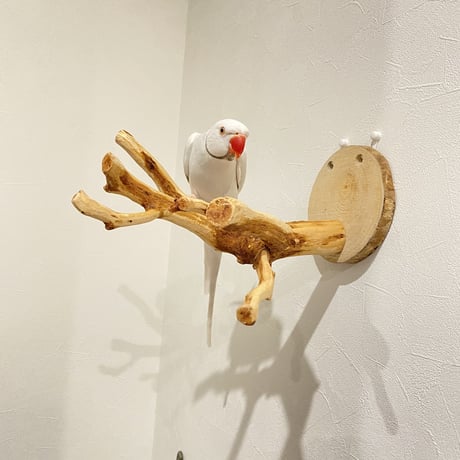 ピノキオの鼻 ②