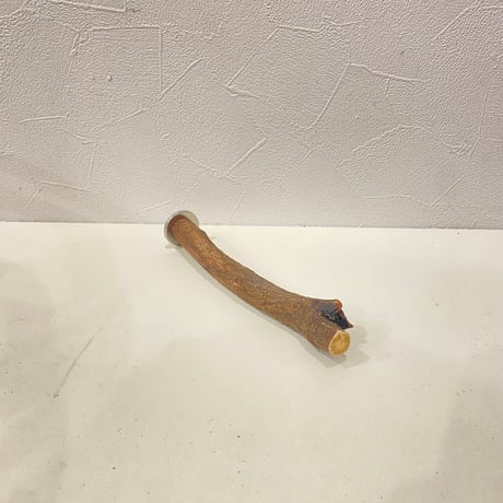 自然木（ツタ）パーチ ⑫ 直径約2cm/長さ18cm