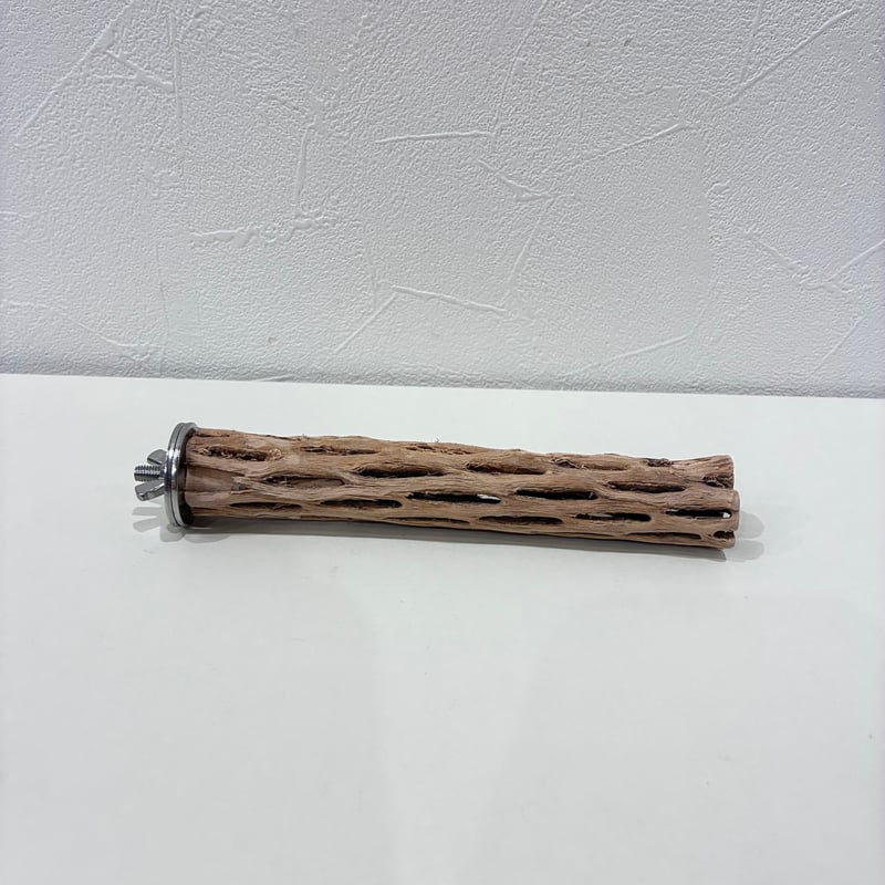 カクタスパーチ極小サイズ① 直径約2.3cm/長さ15cm【自然木 止まり木