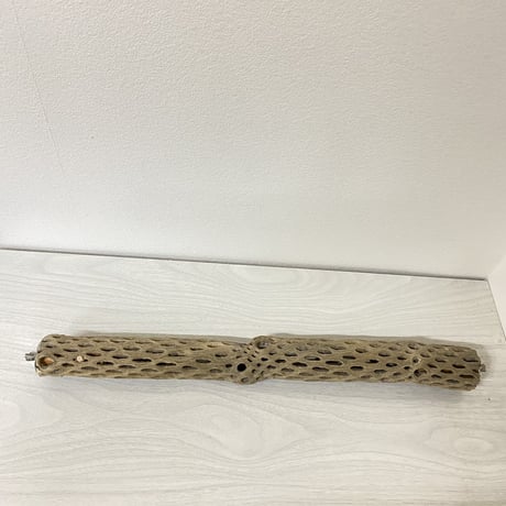 ケージサイズカクタスパーチ① 小サイズ直径4cm HOEI465サイズ