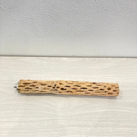 カクタスパーチ小④ 直径約3~4cm 長さ25cm