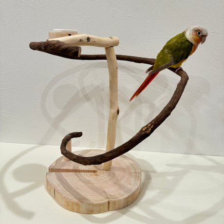 ツタのぐるぐるアスレチック 【小型から中型】【インコのおもちゃ・自然木のとまり木】