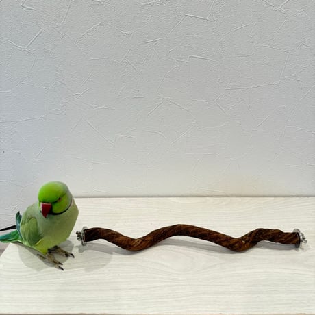 自然木（ツタ）のウネウネ殿様パーチ HOEI35