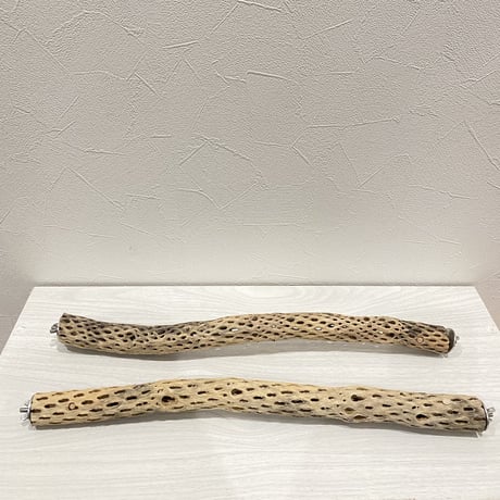 【Arisa_h様専用】ケージサイズカクタスパーチ 極小サイズ直径2-3cm HOEI465サイズ