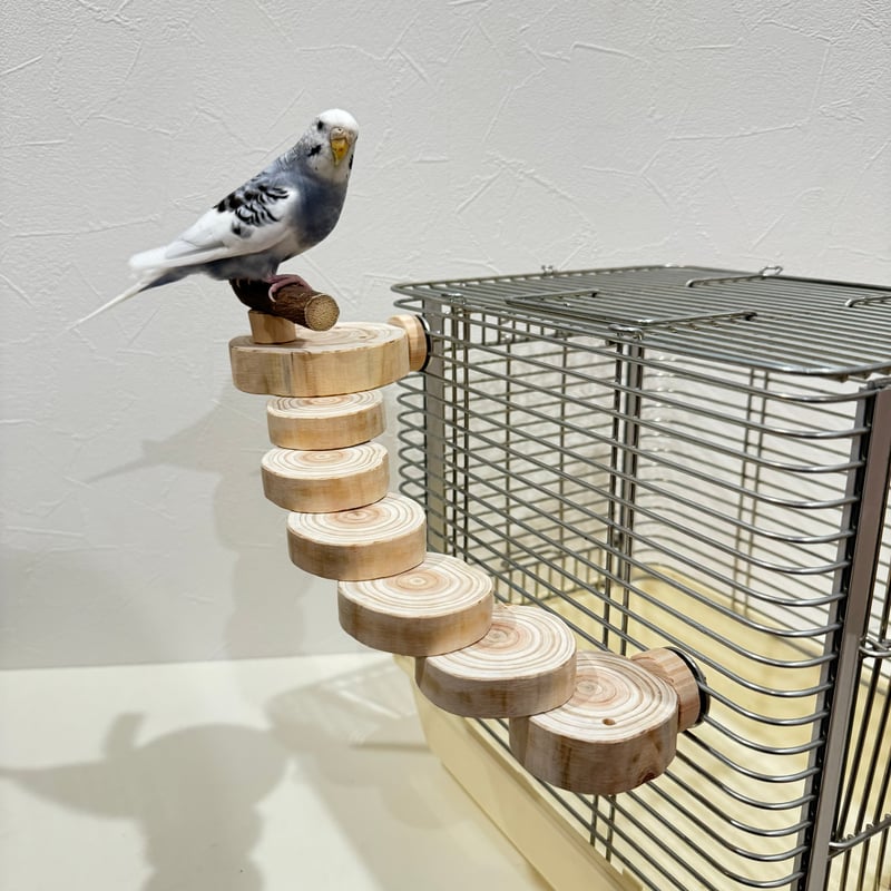 パーチつき螺旋階段（可動式） | 自然木の鳥用品 鳥豆堂【トリマメドウ