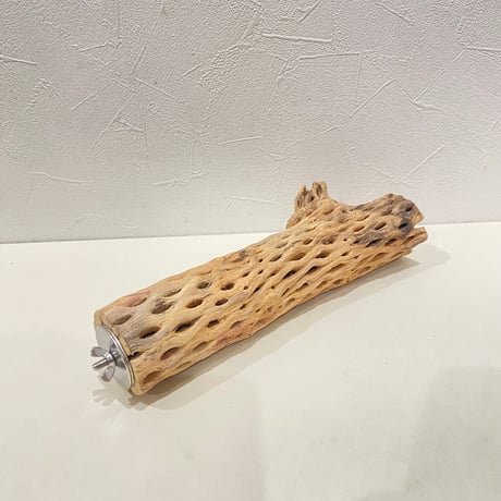 カクタスパーチ(W) 直径約5.5cm/長さ25cm