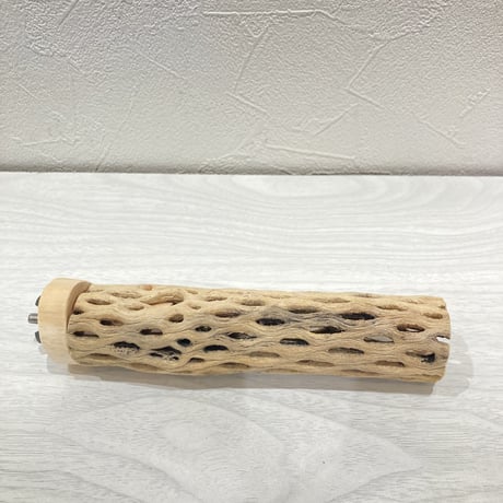 カクタスパーチ【13】小 直径約3.5cm 長さ15cm