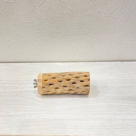 カクタスパーチ⑮中4.5~5.5cm長さ10㎝