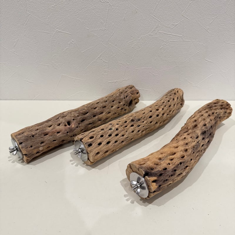 そられん様専用】カクタスパーチ 直径約5-5.5cm/長さ30cm【インコ