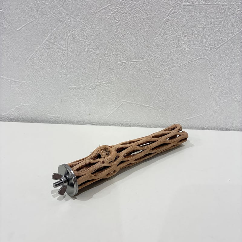 カクタスパーチ極小サイズ④ 直径約2.5cm/長さ15cm【自然木 止まり木