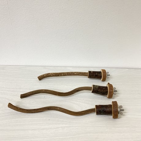 【ピーチョコたまっち様専用】自然木（ツタ）パーチ直径0.8〜1cm／長さ15.18.20cm