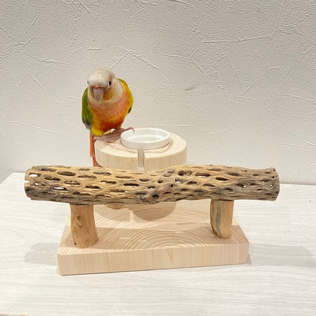 カクタスのおやつ入れ付きスタンドパーチ