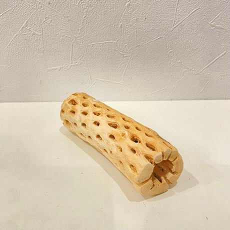 カクタスパーチ⑦ 直径約4.5cm/長さ15cm