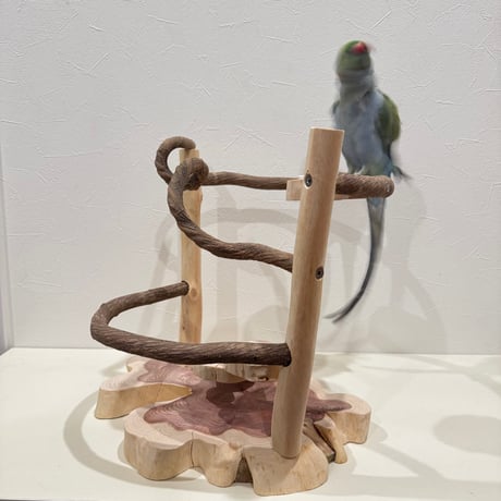 ツタと貝塚伊吹の螺旋階段アスレチック【インコのおもちゃ・自然木のとまり木】