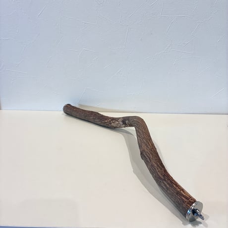 【Ｔ様専用】殿様パーチ（自然木ツタ） HOEI465サイズ  直径約2.5cm