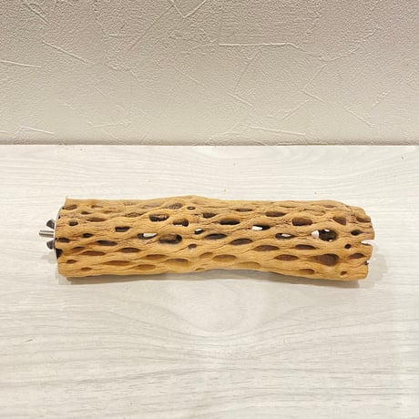カクタスパーチ【27】直径4~5cm/長さ20cm