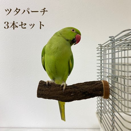 自然木（ツタ）のパーチ3本セット 直径1.5cm/2cm/2.5cm/  長さ16cm/13cm/12cm⑯