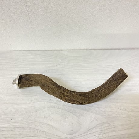 自然木（ツタ）のパーチ④　直径2.5cm 長さ21.5cm