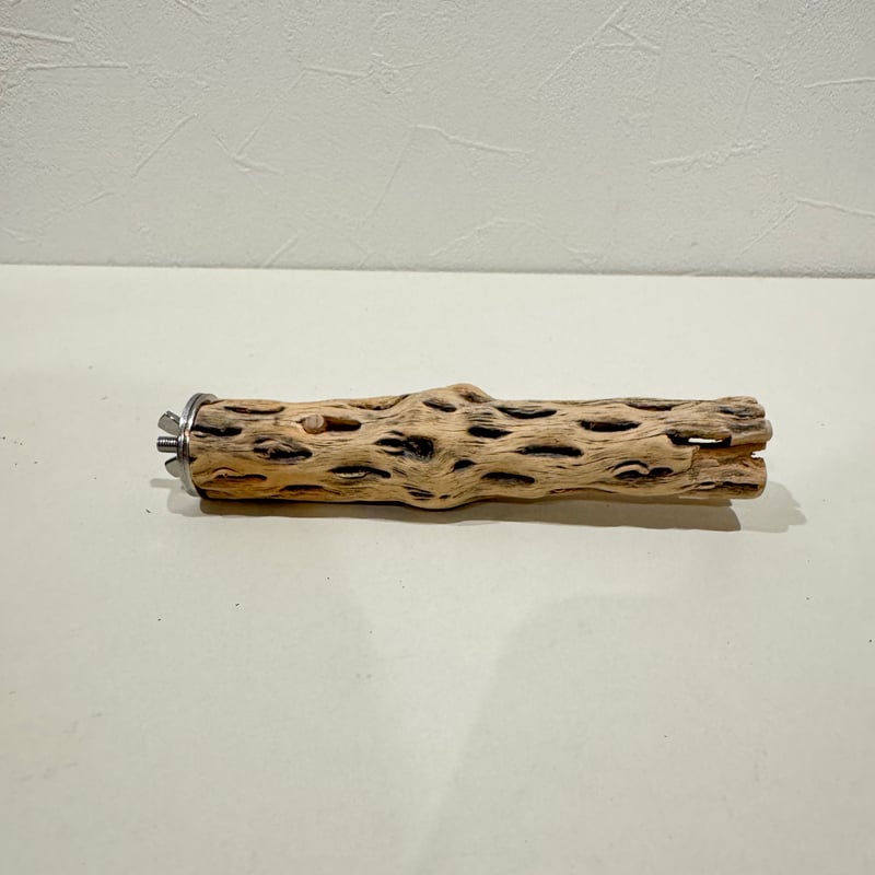 カクタスパーチ極小サイズ 直径2.7-3cm/長さ15cm⑭【自然木 止まり木