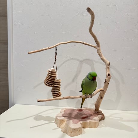 CATEGORY バードアスレチック | 自然木の鳥用品 鳥豆堂【トリマメドウ