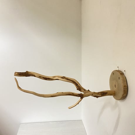 ピノキオの鼻 ③