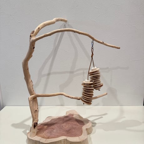 貝塚伊吹のスタンドパーチ 【自然木 とまり木 セキセイインコ・ウロコインコ・オカメインコ】