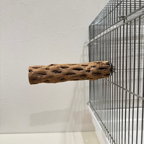 カクタスパーチ小サイズ 直径3.3cm/長さ15cm【自然木 止まり木 バンブルフット 趾瘤症 】