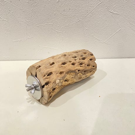 カクタスパーチ(L) 直径約5.5cm/長さ12cm