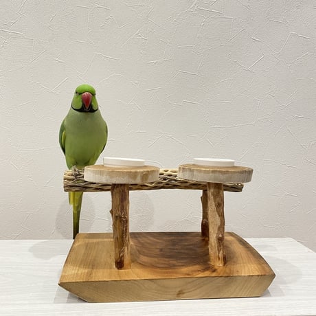 カクタスのスタンドパーチ　おやつ入れ付き パーチ長さ30cm