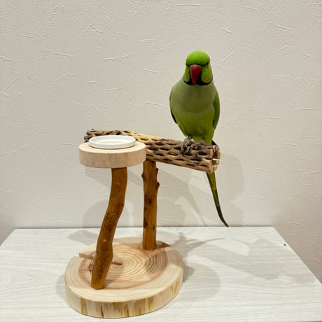 おやつ入れ付きカクタススタンドパーチ
