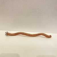 自然木（ツタ）パーチ⑬  直径約1.6cm/長さ30.5cm
