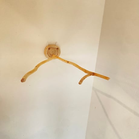 桧のピノキオの鼻 ④【インコ・小鳥のおもちゃ　自然木の止まり木】