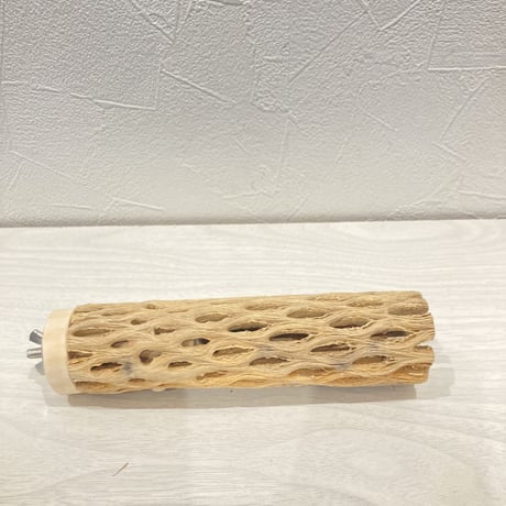 カクタスパーチ小⑯ 直径約3~4cm 長さ15cm