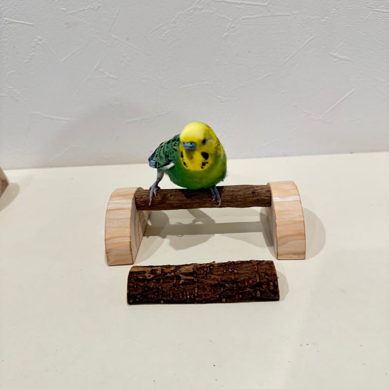 幼鳥・老鳥・介護用 置き型パーチ③【セキセイ・ウロコ・オカメ】自然